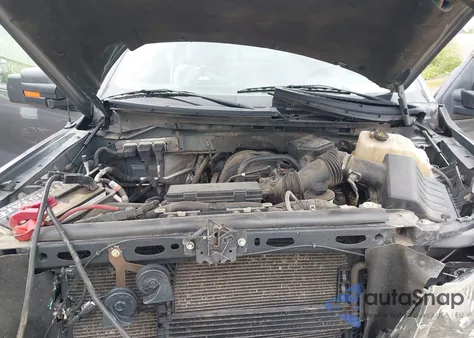 2010 Ford F150 Stx/Xl/Xlt z USA, uszkodzony, nr VIN 1FTEX1E8XAFA82601